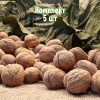 Комплект 5шт / Грецкий орех Великан: фото и описание